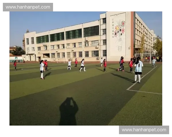 少年足球队携手奋进踏上绿茵场梦想征程共同拼搏勇创辉煌