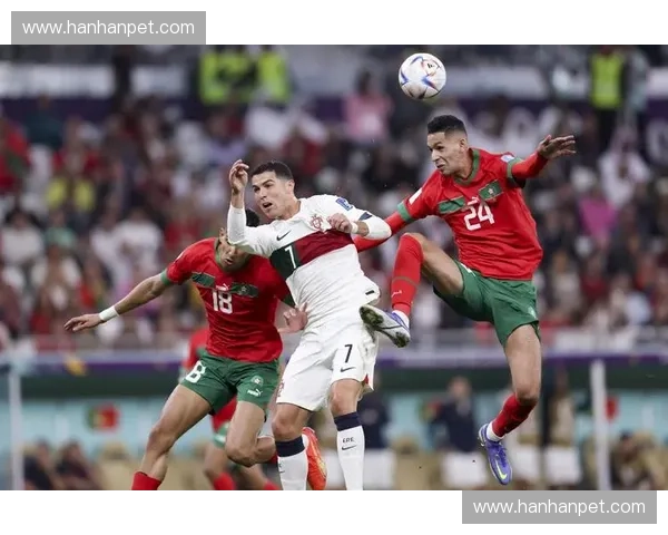 葡萄牙队世界杯历史最佳战绩回顾及辉煌背后的传奇故事