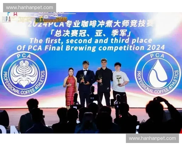 世界杯荣耀时刻 璀璨星光下的冠军颁奖典礼与激情回顾