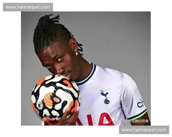 热刺新赛季豪华阵容全解析年轻锋线崛起助力英超冠军梦想