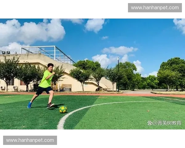 探析现代足球联赛回避机制对竞赛公平性的深远影响与管理实践演进趋势