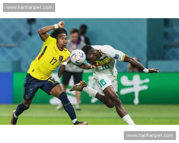 世界杯预选赛激战正酣 各大强队争夺入场券 决战即将上演